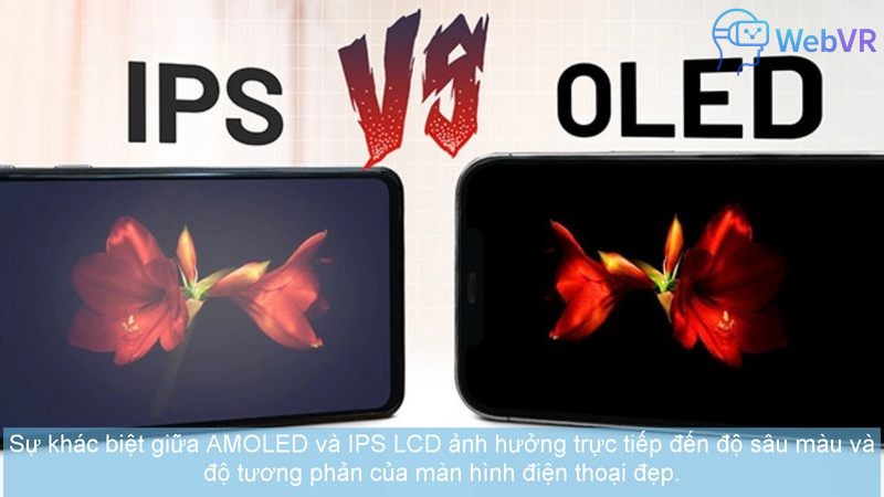 Sự khác biệt giữa AMOLED và IPS LCD ảnh hưởng trực tiếp đến độ sâu màu và độ tương phản của màn hình điện thoại đẹp.
