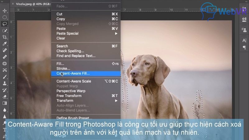 Content-Aware Fill trong Photoshop là công cụ tối ưu giúp thực hiện cách xoá người trên ảnh với kết quả liền mạch và tự nhiên.